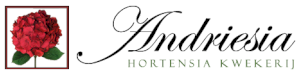 Andriesia