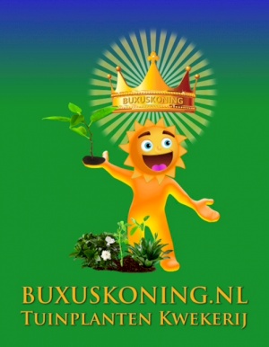 Buxuskoning