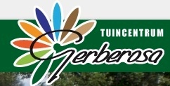 Gerberosa tuincentrum