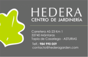 Hedera Centro de Jardineria