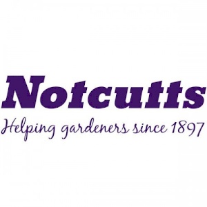 Nottcutts