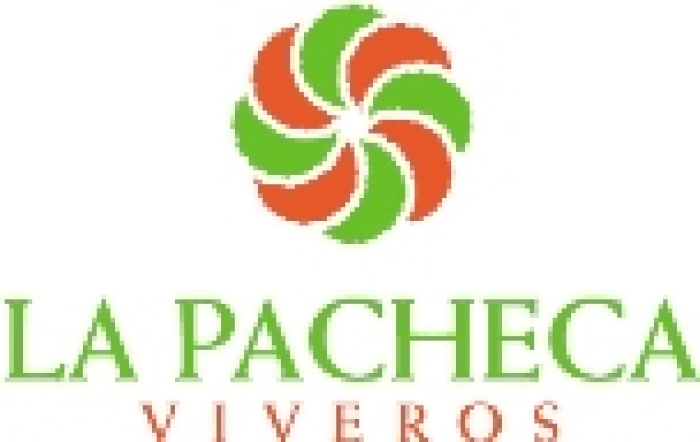 La Pacheca