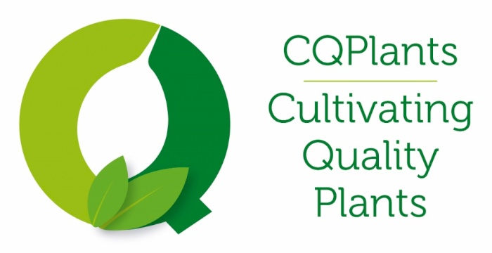 Cultivating Quality Plants