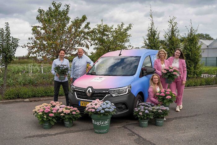 La squadra di marketing dietro Magical Hydrangea