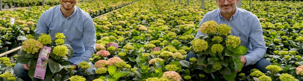 Faites la connaissance du producteur allemand Baum