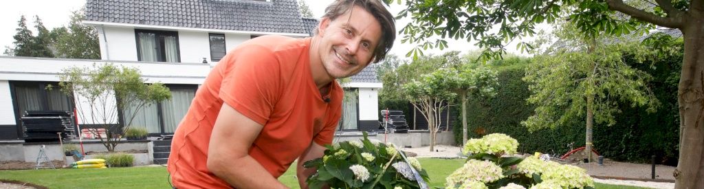 Magical Hortensien bringen Farbe in Lodewijks Traumgarten