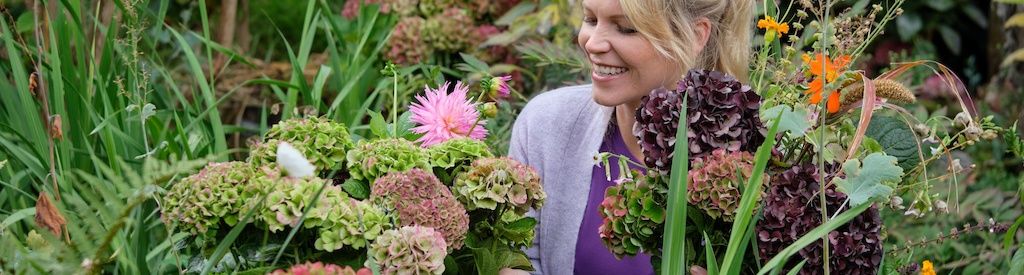 Sådan tørrer du en Magical Hydrangea