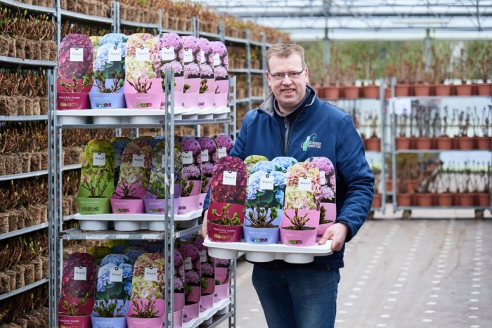 Behind the scenes: What happens to Magicals in winter?