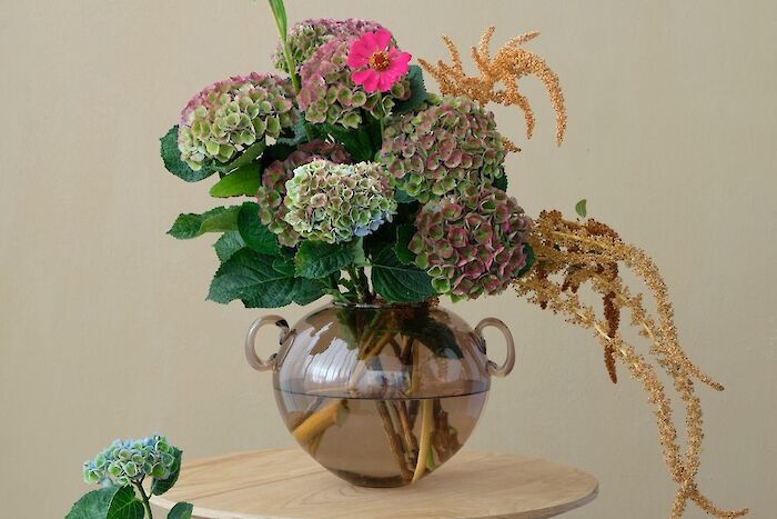 Skapa en vacker bukett med Magical Hydrangea