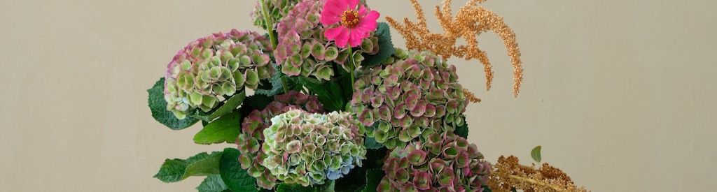 DIY: een prachtig boeket met Magical Hydrangea