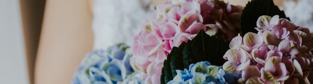 Een Magical Hydrangea-bruiloft om door een ringetje te halen