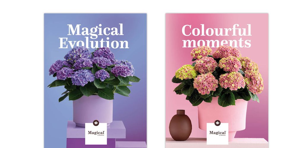 Trade Fair spin win 2025