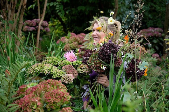 Autumn colours in your garden