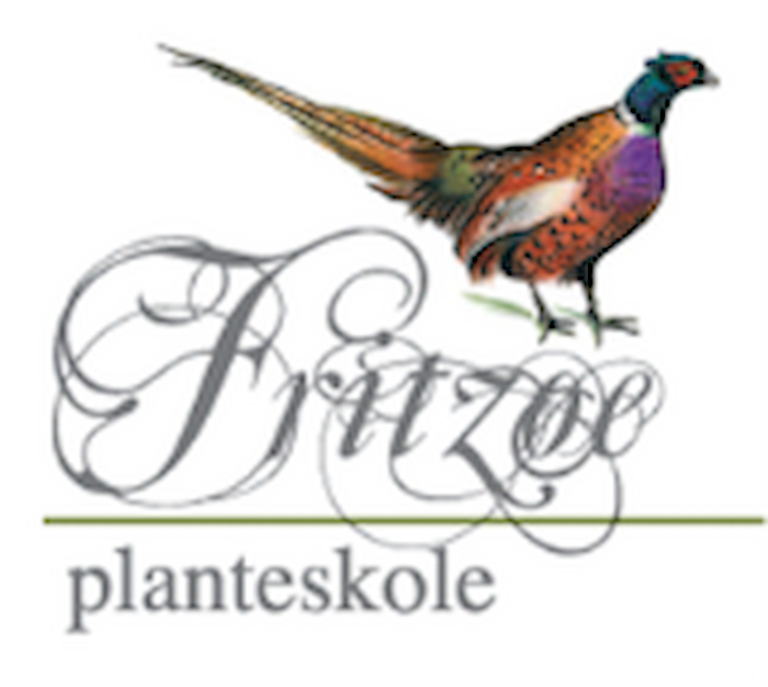 Fritzøe Planteskole