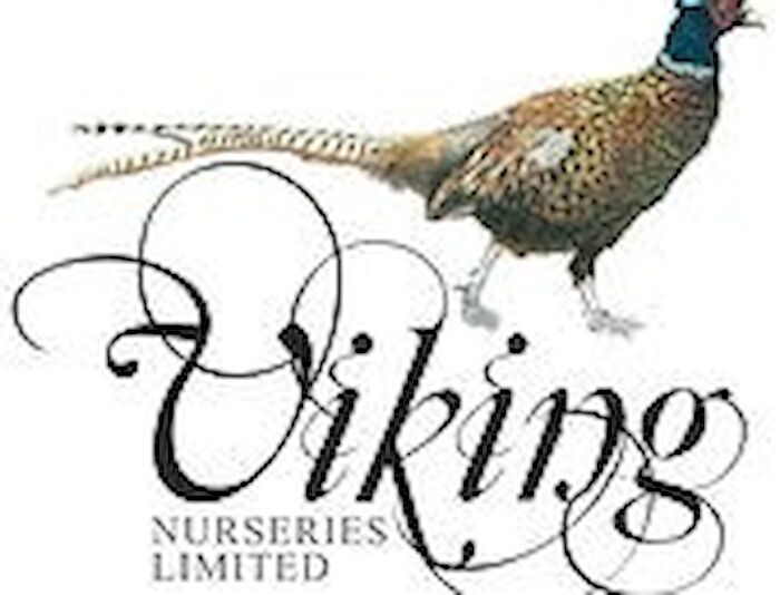 Viking Nurseries Ltd
