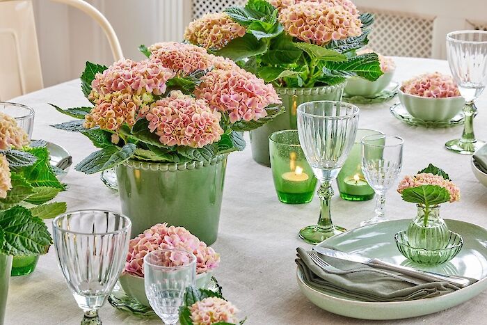 Magical Table Moments: Table Styling with Hydrangeas as a Centerpiece