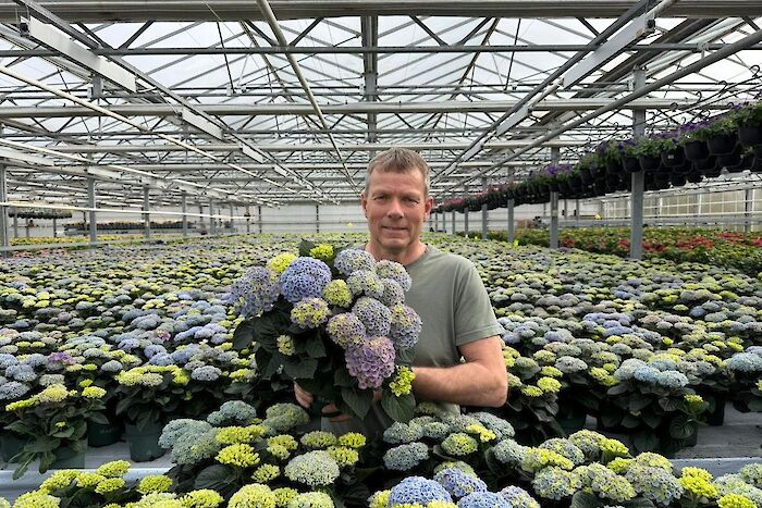 Grower Ove Horpestad: “Magical Hydrangea fits perfectly with our craftsmanship”