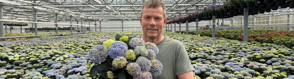 Züchter Ove Horpestad: „Magical Hydrangea passt perfekt zu unserem handwerklichen Können“
