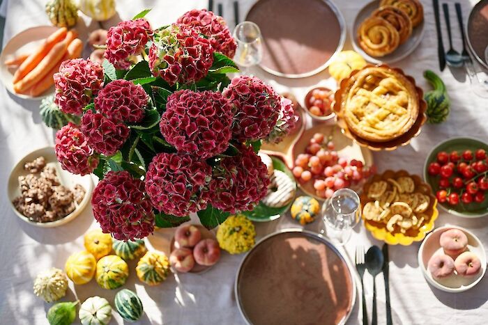 Autumn decorations with Magical Hydrangea: 4 ideas for your home and garden