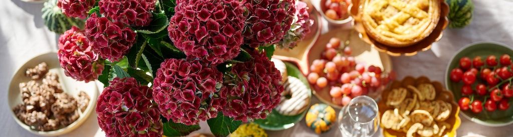 Autumn decorations with Magical Hydrangea: 4 ideas for your home and garden